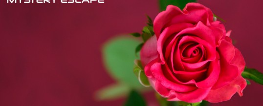 Saint Valentin 2017 – “double date” et 1 bouteille offerte